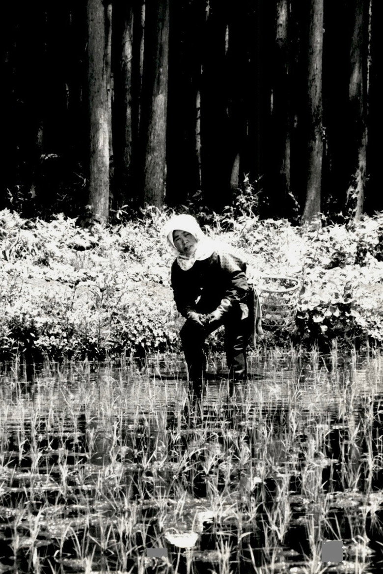 The Japanese Part 3: Farm Song (1978) backdrop image