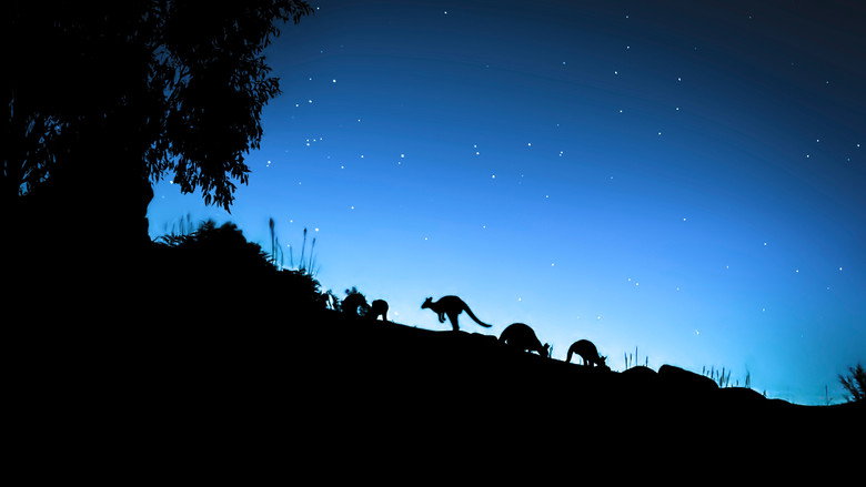 Still from Die Welt in den Farben der Nacht - Season 2 Episode 3