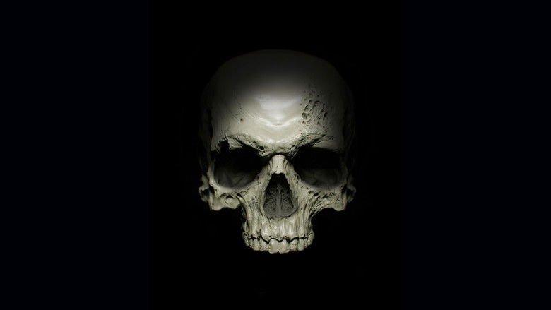 Backdrop de Final Destination Collection