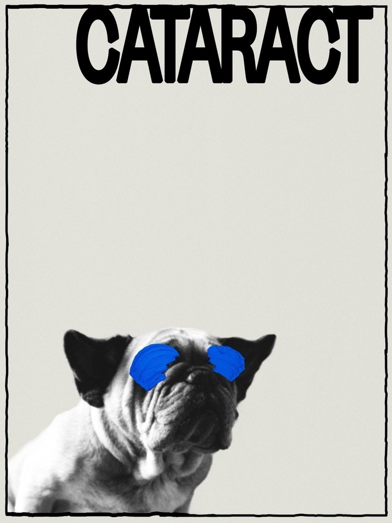 Cataract main poster