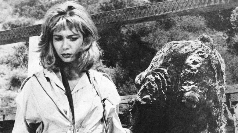 Image d'arrière-plan 8 du film Night of the Blood Beast