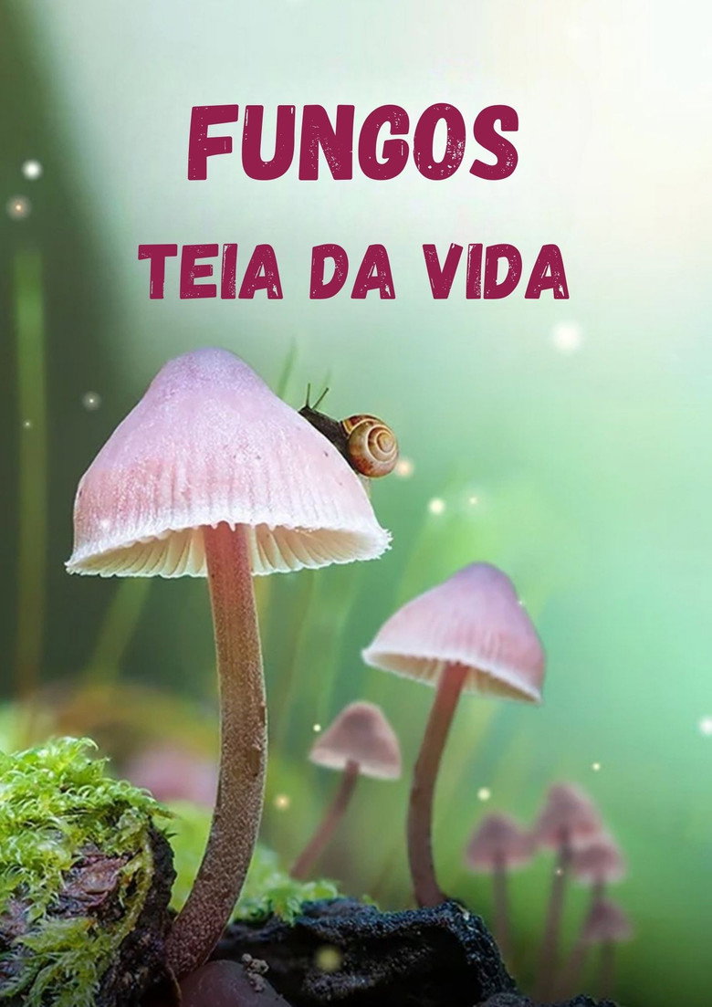 Fungos: Teia da Vida