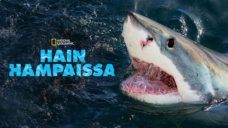 Gallery image from v9vFsELsfABdxISEizE07Uxlitj.jpg