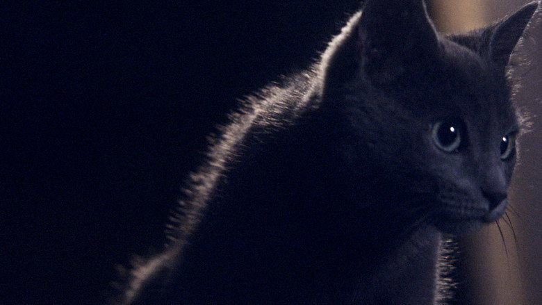 Somos animales still 8