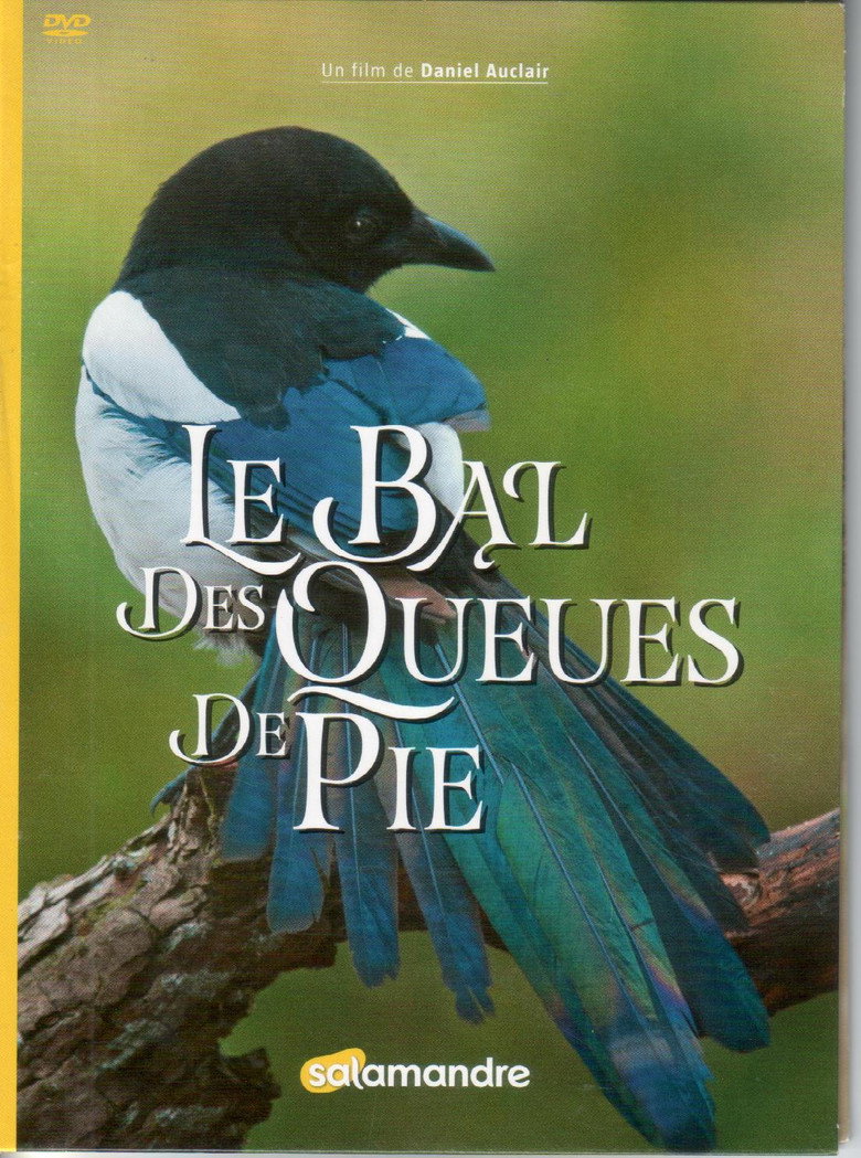 Le Bal Des Queues De Pie background
