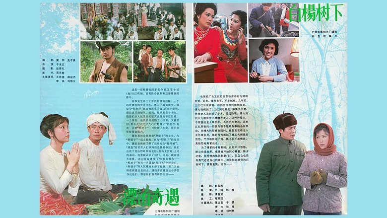白杨树下 backdrop