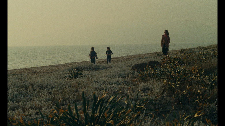 Film backdrop