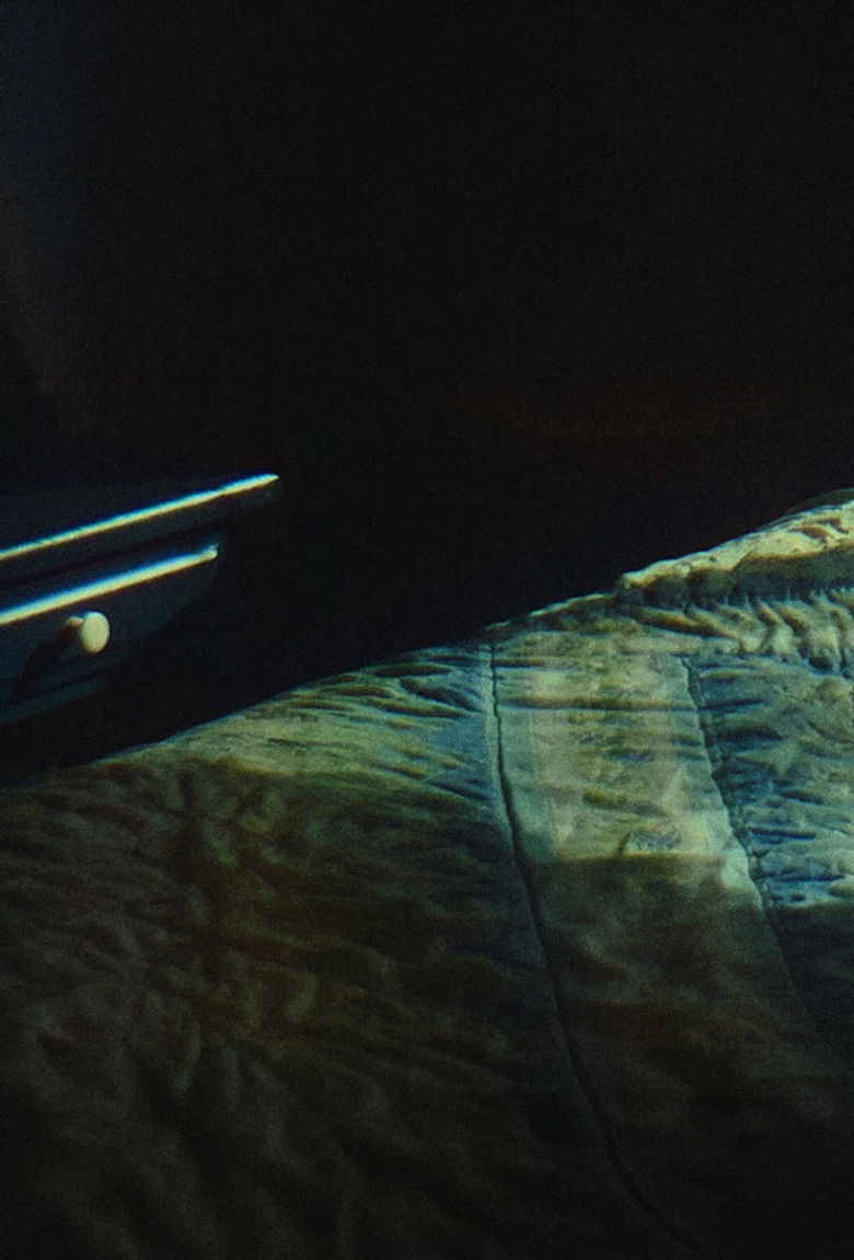 Imatge de Palm Sunday