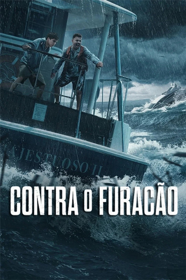 Póster la Película