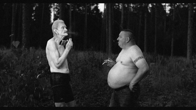 Медиа изображение