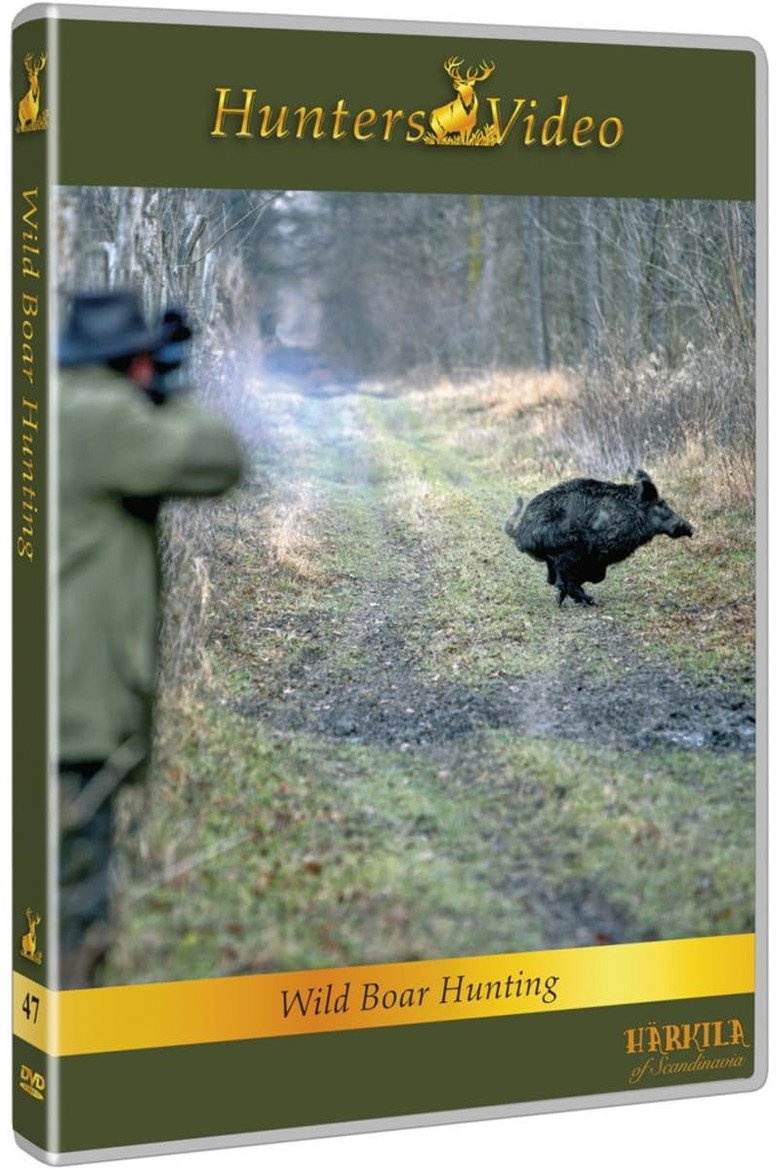 Wild Boar Hunting background
