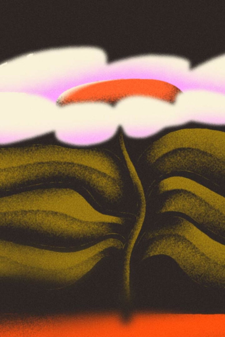 Creation backdrop preview