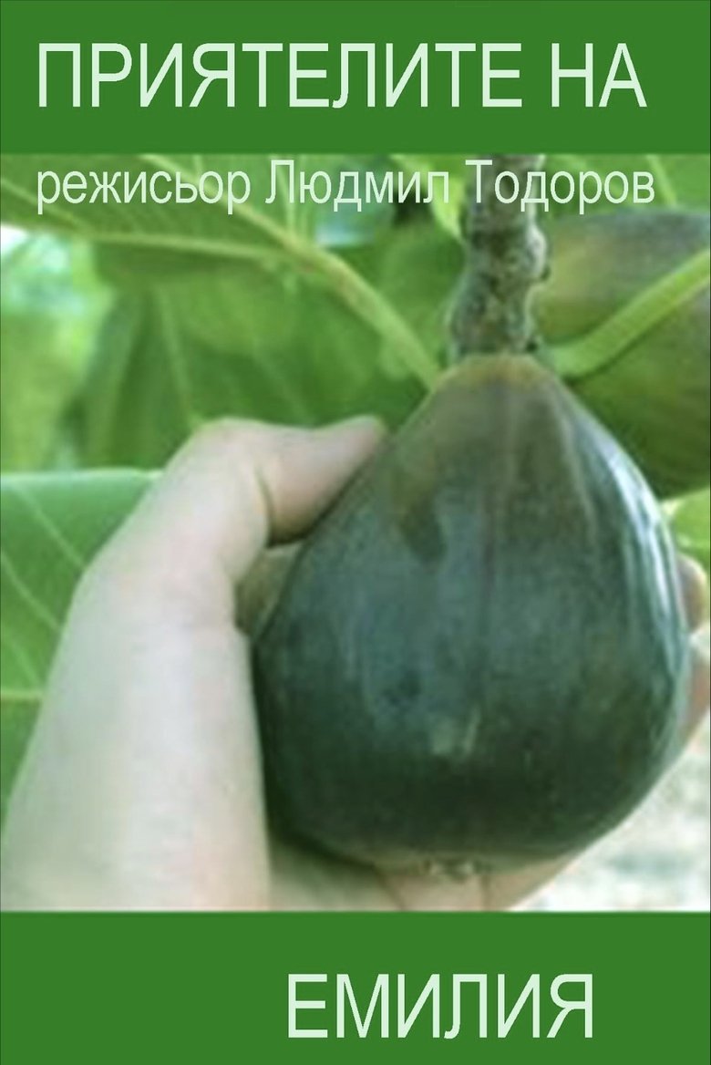 Приятелите на Емилия (1996)