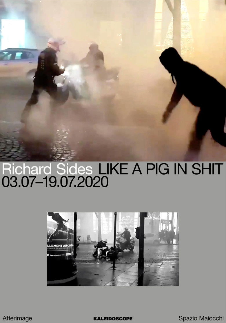 Imatge de Like a Pig in Shit