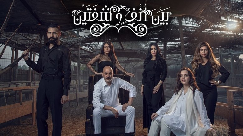 بين أنف وشفتين backdrop