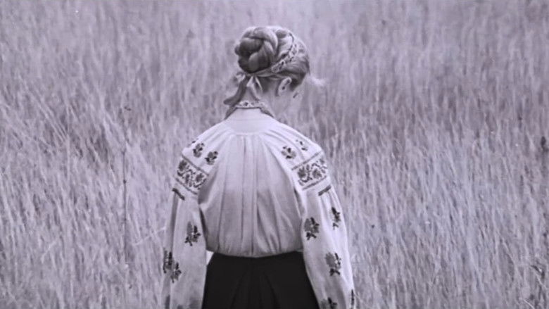 Image d'arrière-plan 1 du film I'm Coming to You...