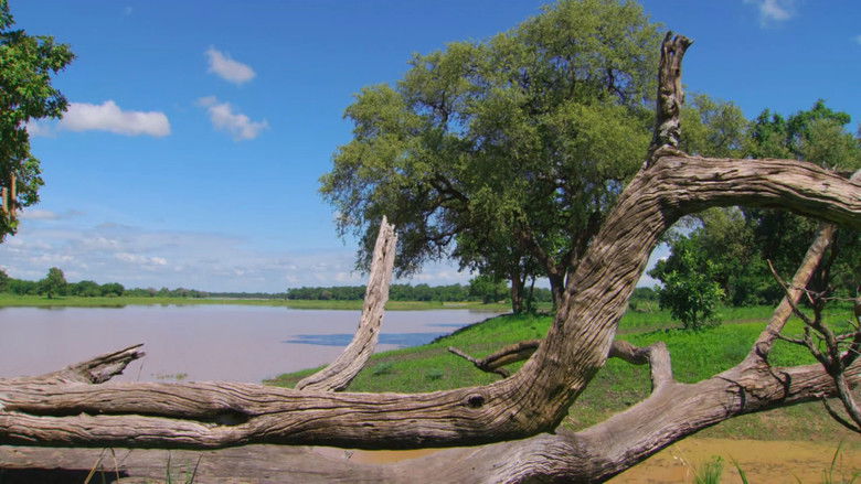 Still image for Africa River Wild season 1 episode 1: Luangwa River Still image for Africa River Wild season 1 episode 1: Luangwa River