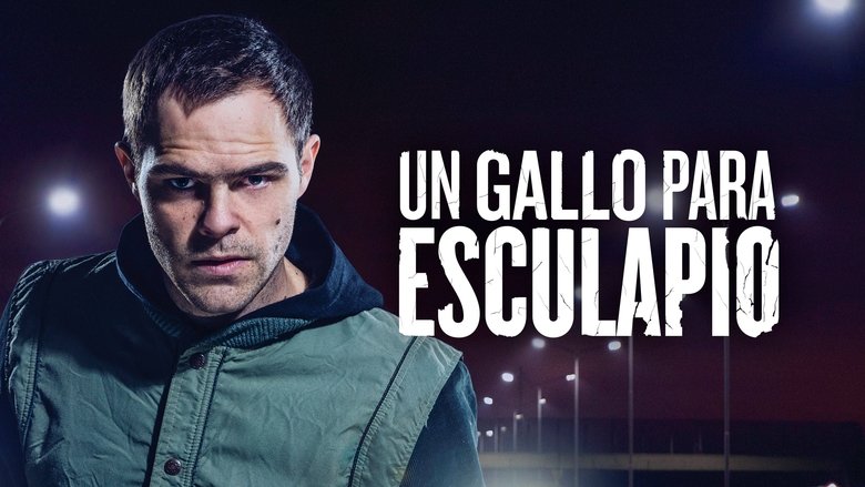 Gallery image from vFharTXWt8fJDoDkvtcOO5cWvKj.jpg