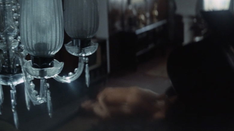 The Shadow on the Wall — scene 2