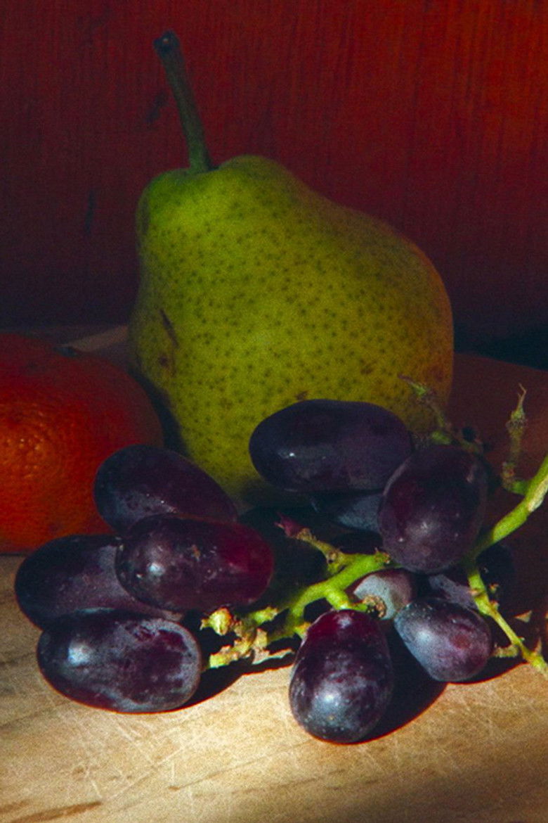 Imatge de Procès verbal