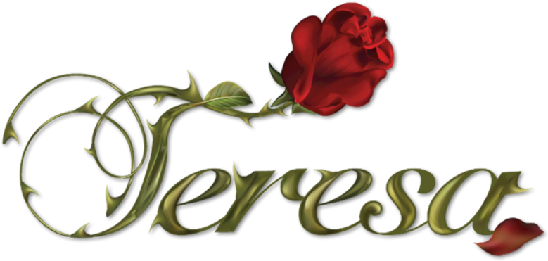 Imagen 11