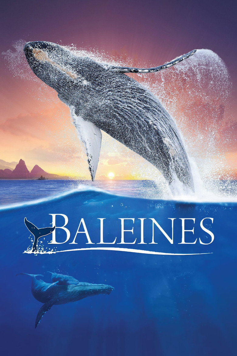 Affiche de BALEINES