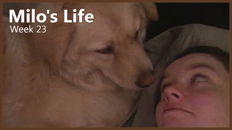 Still image for Milo's Life season 1 episode 23: Spoiled Grandchild | Week 23 Still image for Milo's Life season 1 episode 23: Spoiled Grandchild | Week 23