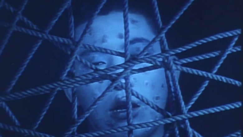 Gallery image from vGxnSdOMIqAieeMgnZUiXwOIlVK.jpg