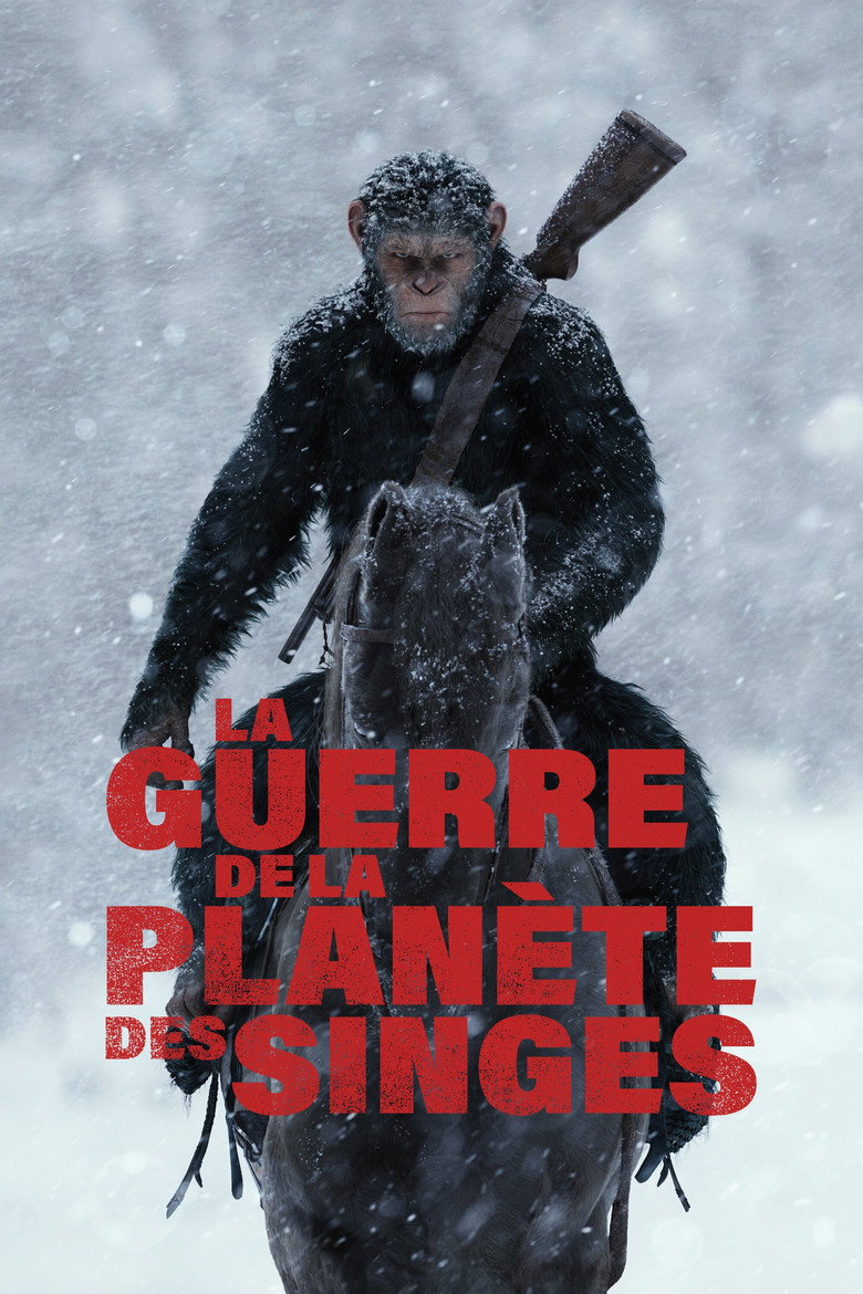 Póster la Película