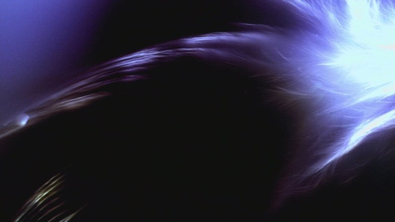 Gallery image from vHo7cVA9acuMA2ss3t8fQH0RfB8.jpg