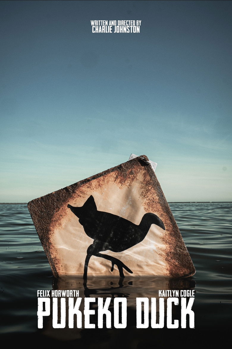 Imatge de Pukeko Duck