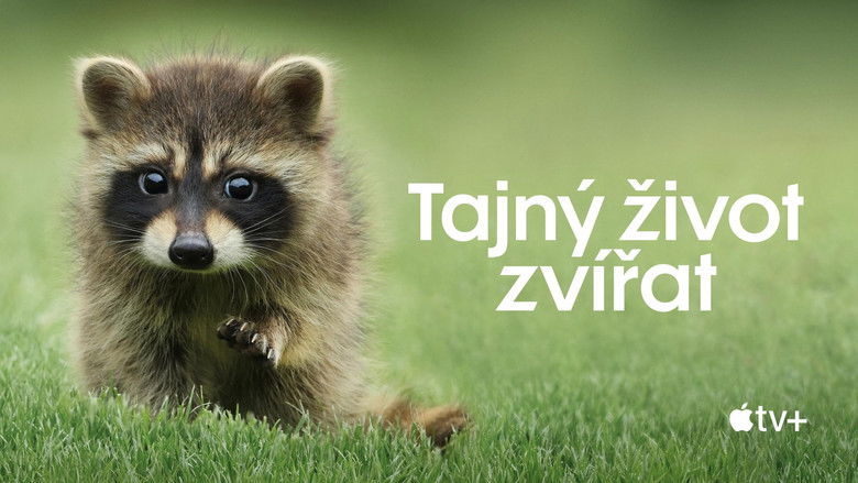 Gallery image from vItu9bNb7TGjIfwRbWjhFU4DR3c.jpg