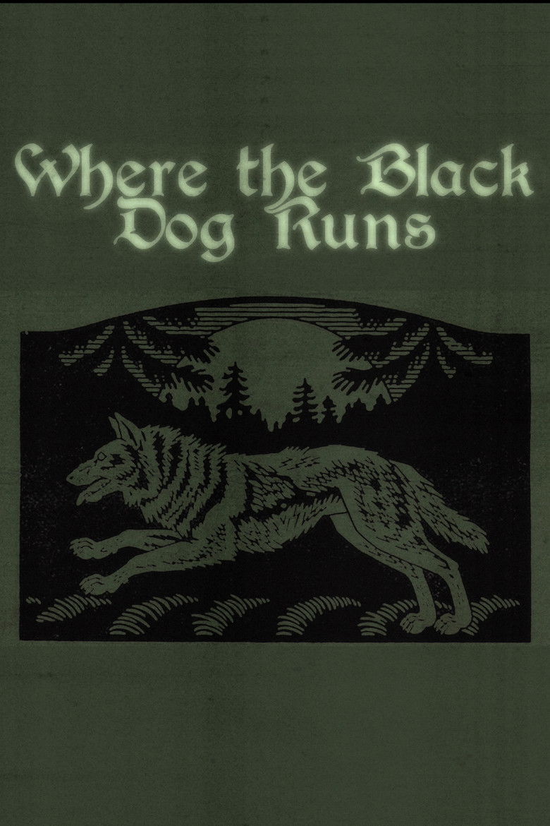 Imatge de Where the Black Dog Runs