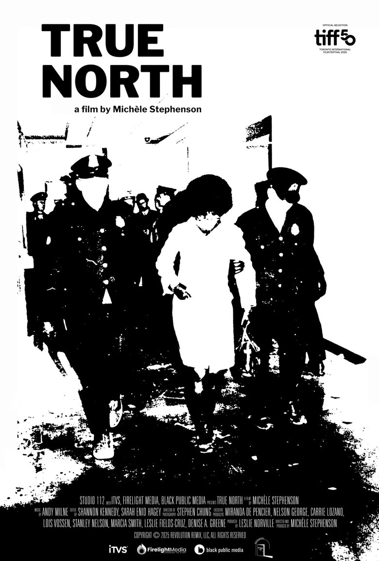 True North main poster