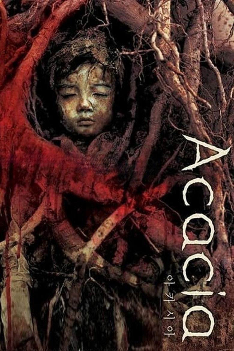 Imatge de 아카시아