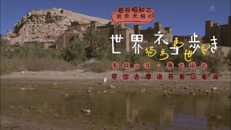 Still image for Mitsuaki Iwago's World “Cats” Travelogue season 1 episode 11: Morocco, Sea and Mountains Still image for Mitsuaki Iwago's World “Cats” Travelogue season 1 episode 11: Morocco, Sea and Mountains