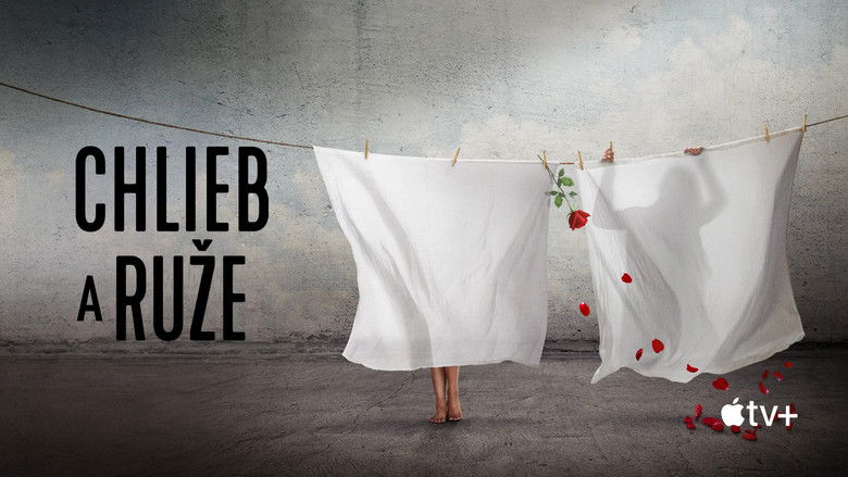 Vljys1jh39krp36rqezkjocwozr