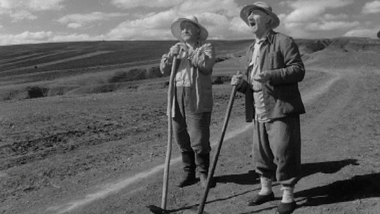 Gallery image from vLoK1H3pWQdBp01LnP7yejmioYs.jpg