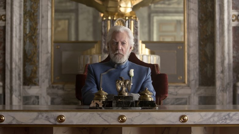 Gallery image from vM0fhgGJOUpL3jzIvAk2cnEaGuQ.jpg