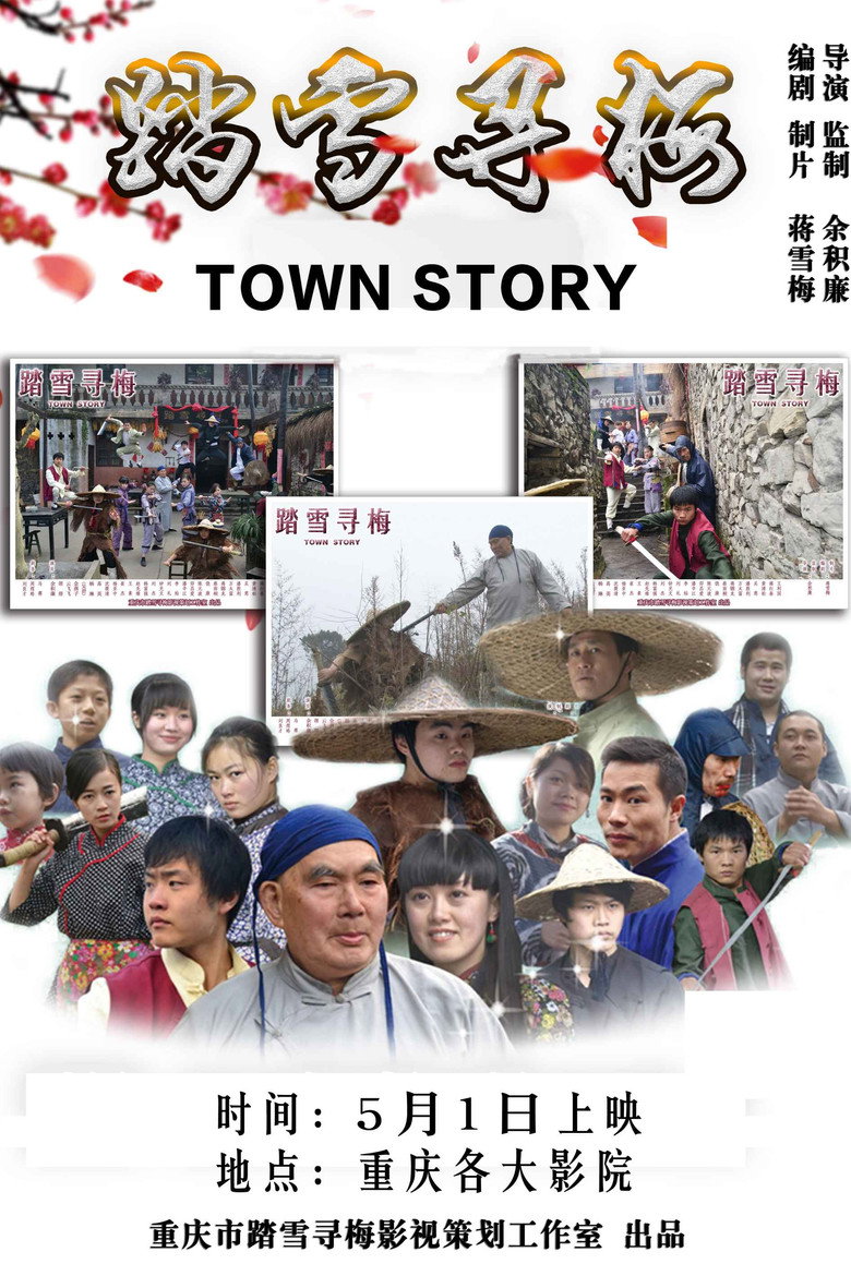 踏雪寻梅 poster