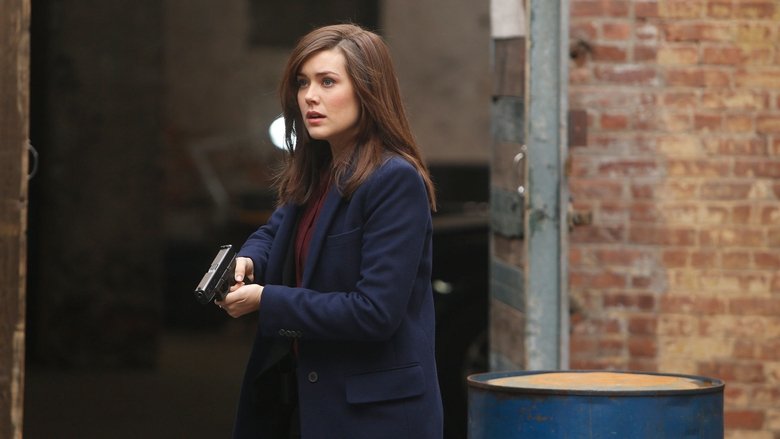 The Blacklist: 1×17