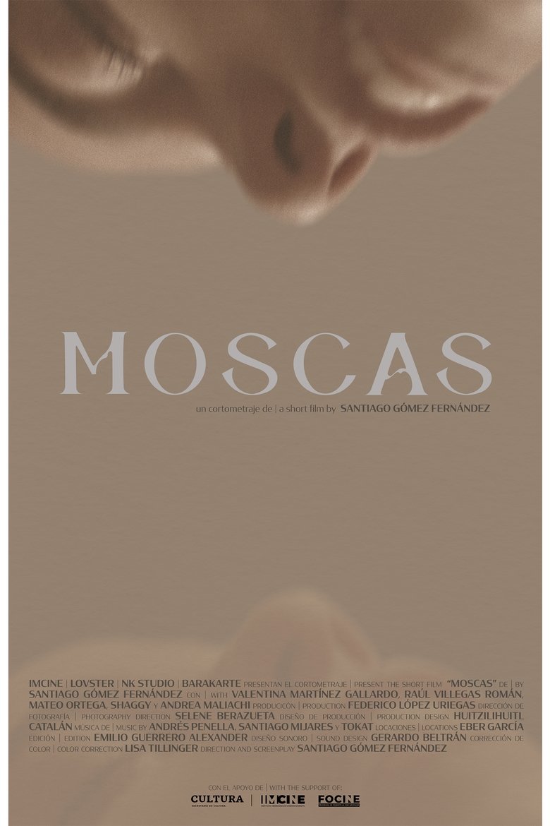Moscas