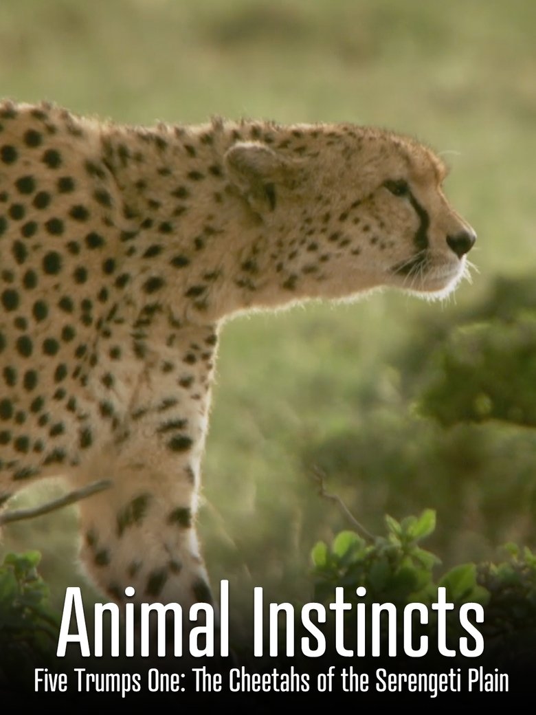 Animal Instincts: Five Trumps One: The Cheetahs of the Serengeti Plain (2018)