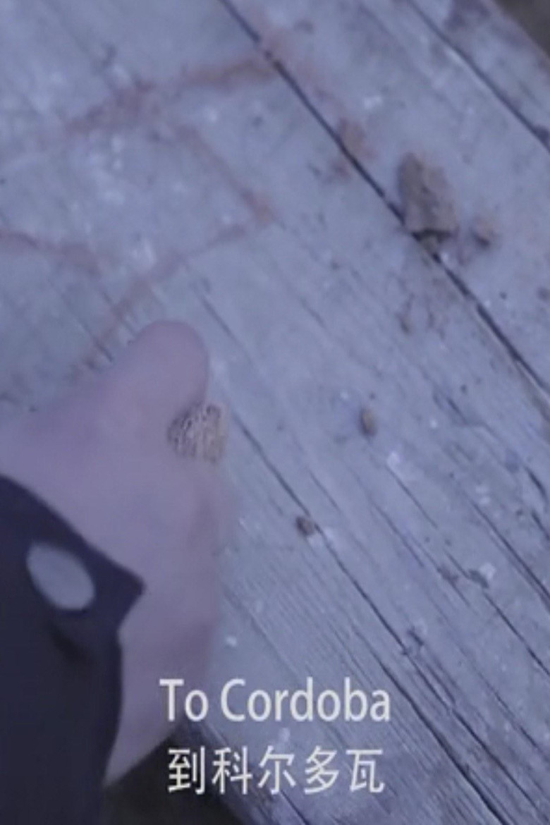 Imatge de 到科尔多瓦