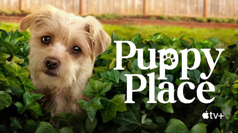 Gallery image from vOPY3w8H6SQKnUJ8V7xriivVInc.jpg