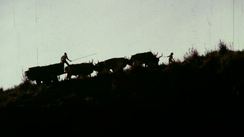 Bullock Cart backdrop