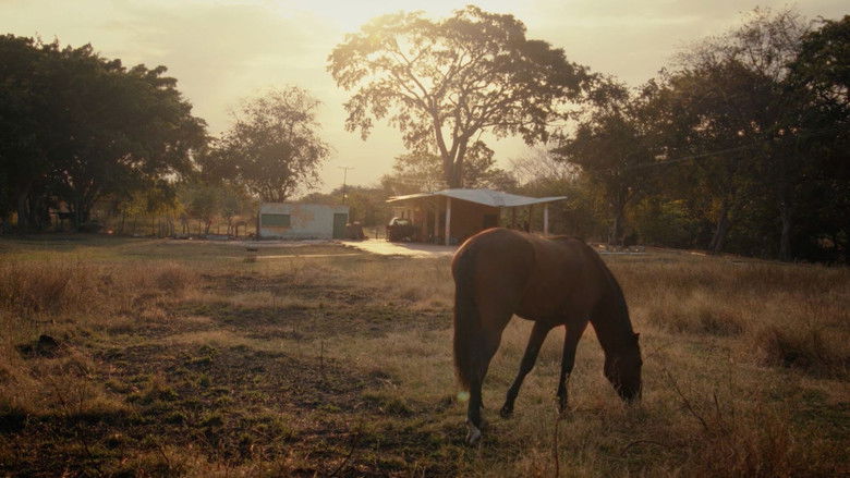 Gallery image from vOWmmNbt7CO82hsAOj8Ylc6MtS9.jpg