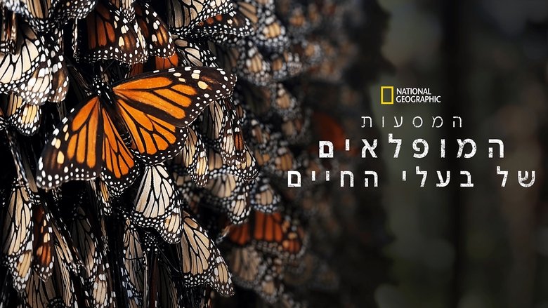 Gallery image from vOi63wW4x2D3k4DoykVN1xTCx2N.jpg