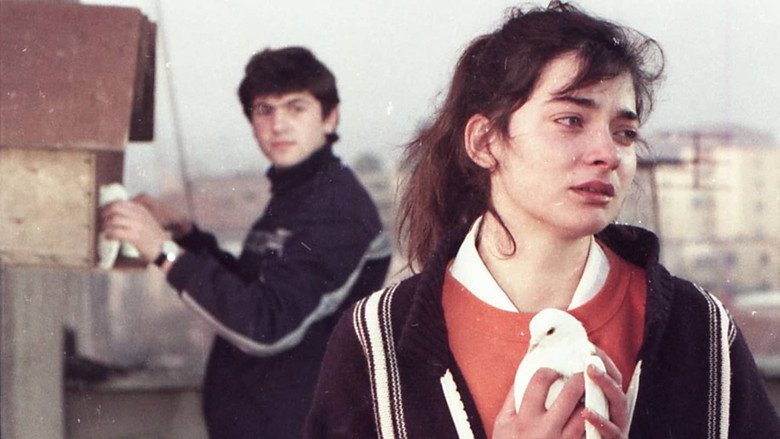 Një djalë edhe një vajzë image 1