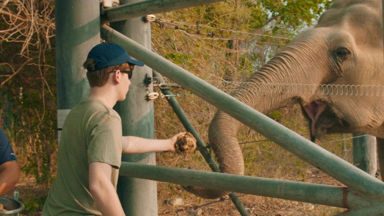 Still image for Wildlife season 1 episode 2: Episode 2 Still image for Wildlife season 1 episode 2: Episode 2